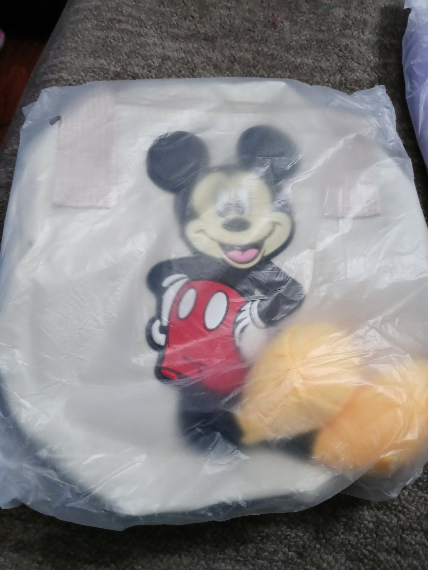 Cross Body Mickey Hand bags