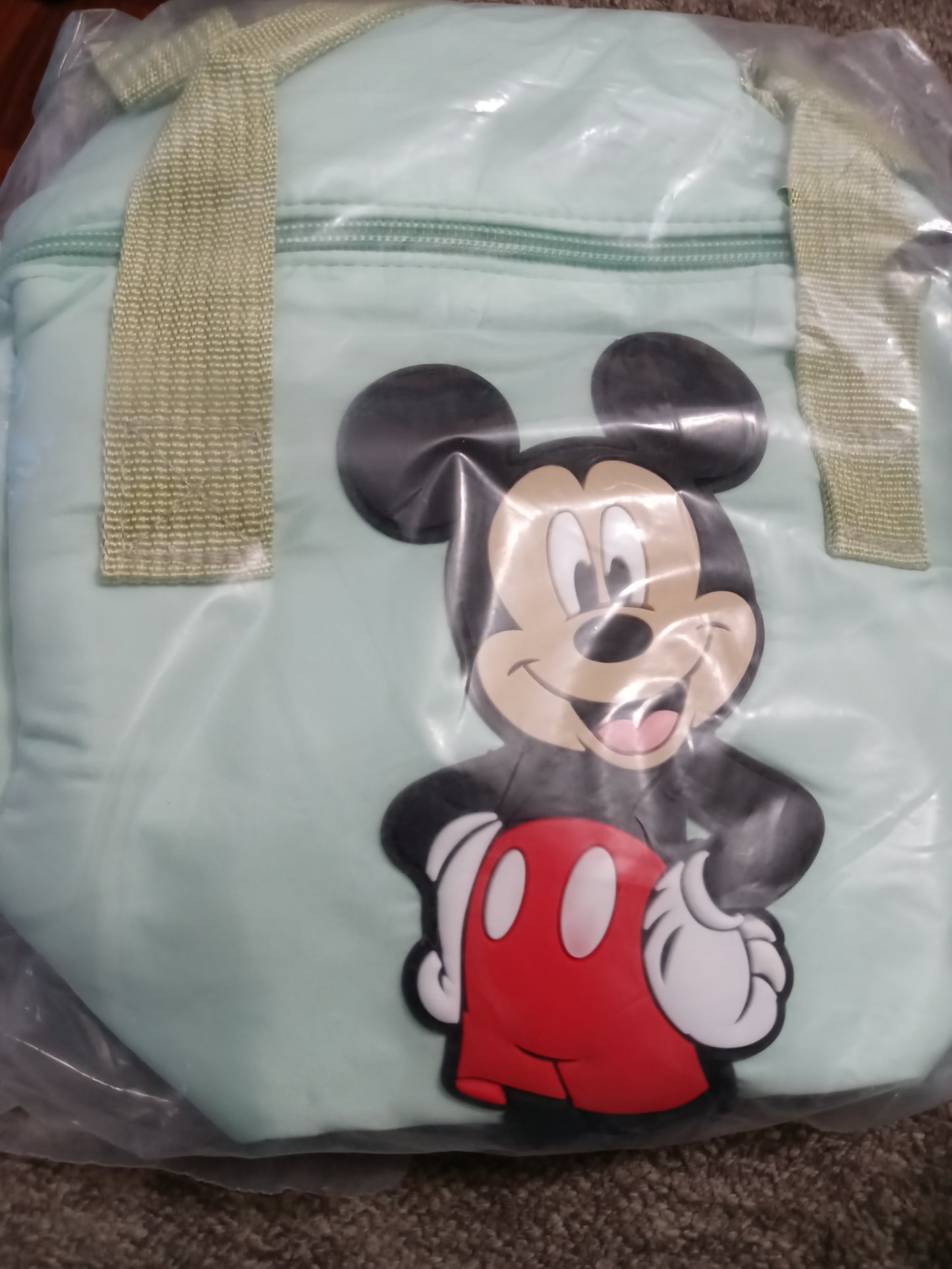 Cross Body Mickey Hand bags