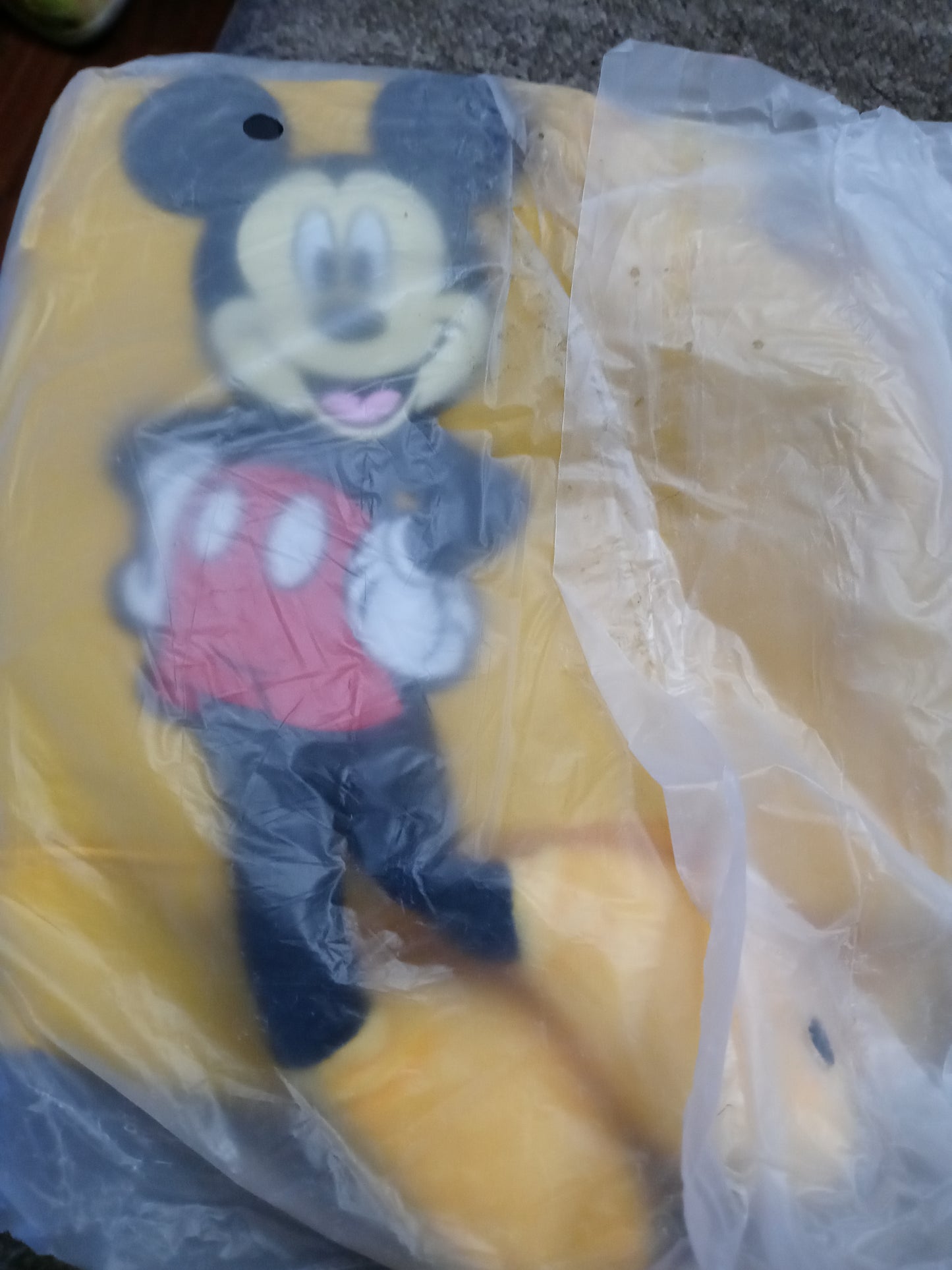 Cross Body Mickey Hand bags
