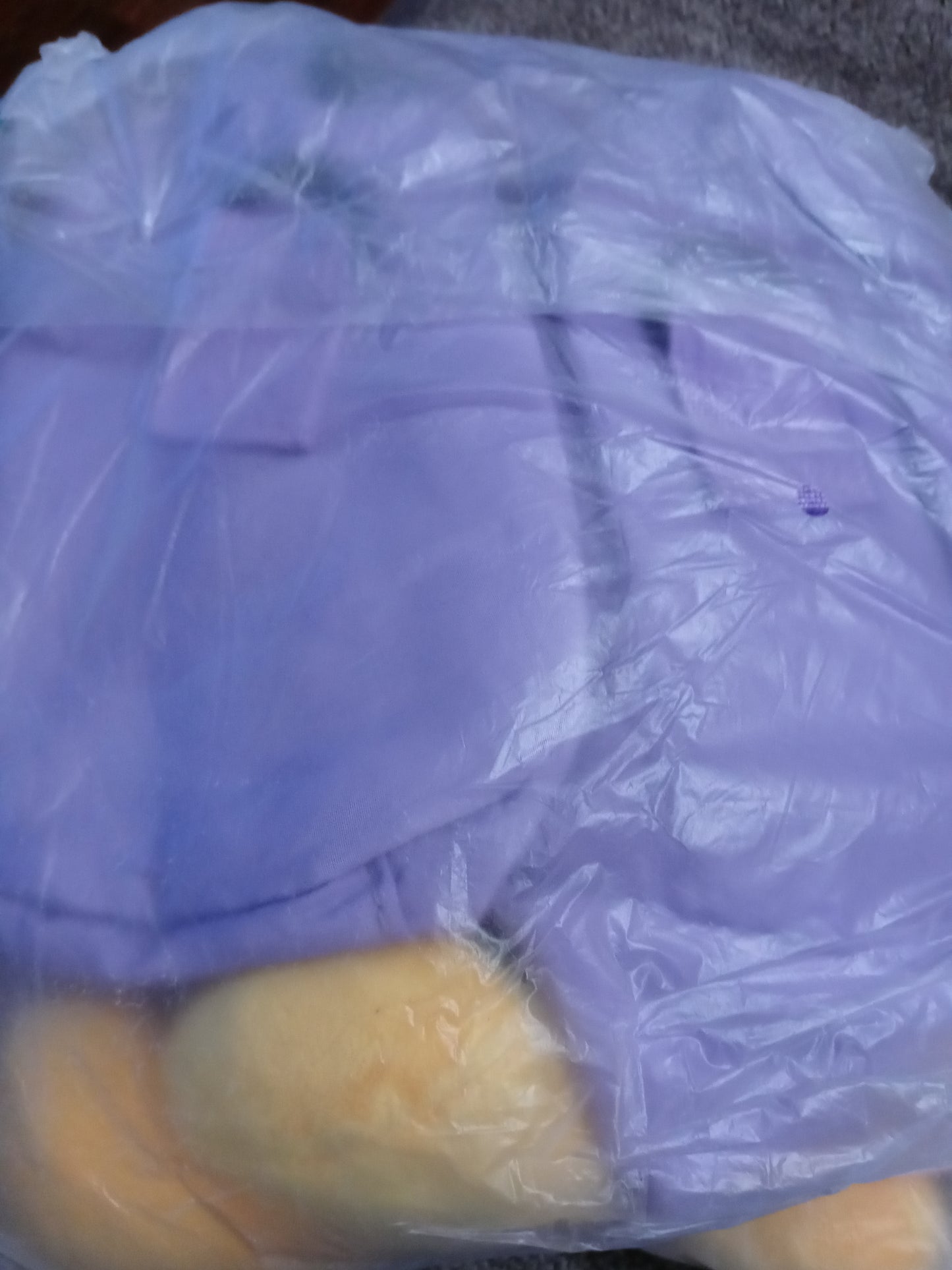 Cross Body Mickey Hand bags